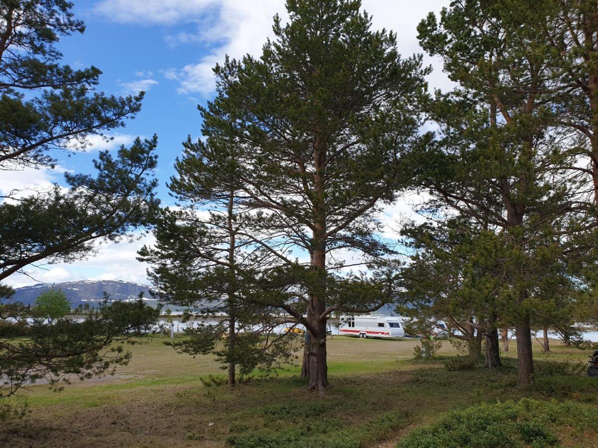 Solvang Camping Og Leirsted Alta Exterior foto